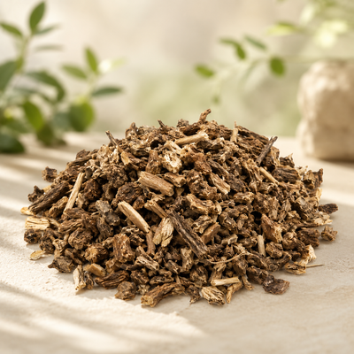 Stillingia Root
